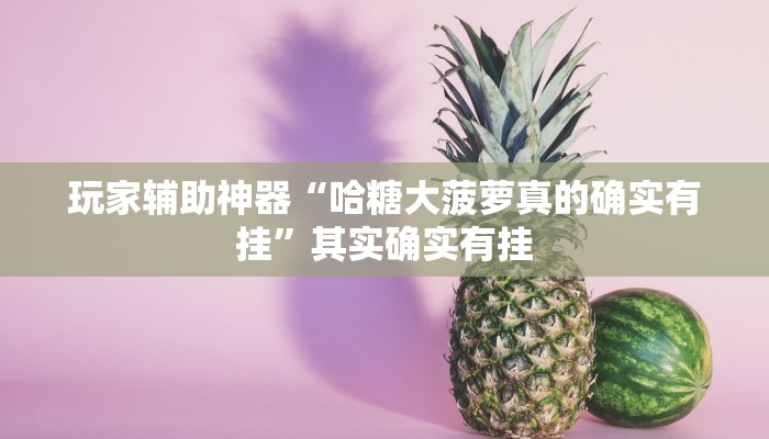 玩家辅助神器“哈糖大菠萝真的确实有挂”其实确实有挂