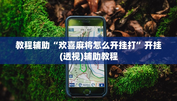 教程辅助“欢喜麻将怎么开挂打”开挂(透视)辅助教程