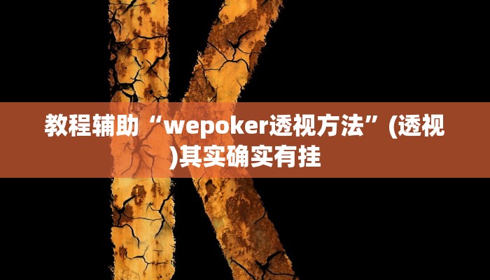 教程辅助“wepoker透视方法”(透视)其实确实有挂