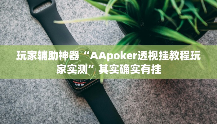 玩家辅助神器“AApoker透视挂教程玩家实测”其实确实有挂