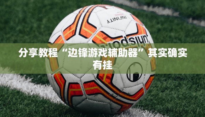 分享教程“边锋游戏辅助器”其实确实有挂