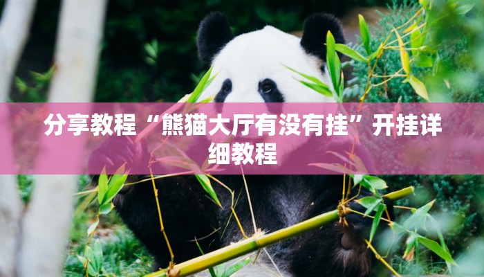 分享教程“熊猫大厅有没有挂”开挂详细教程