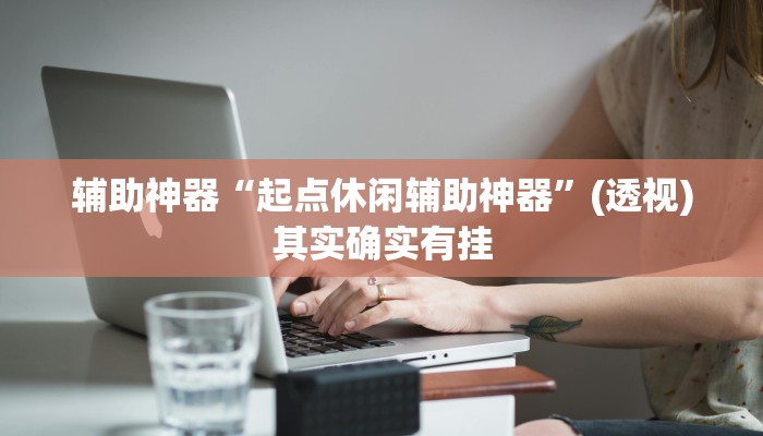 辅助神器“起点休闲辅助神器”(透视)其实确实有挂 辅助神器“起点休闲辅助神器”(透视)其实确实有挂