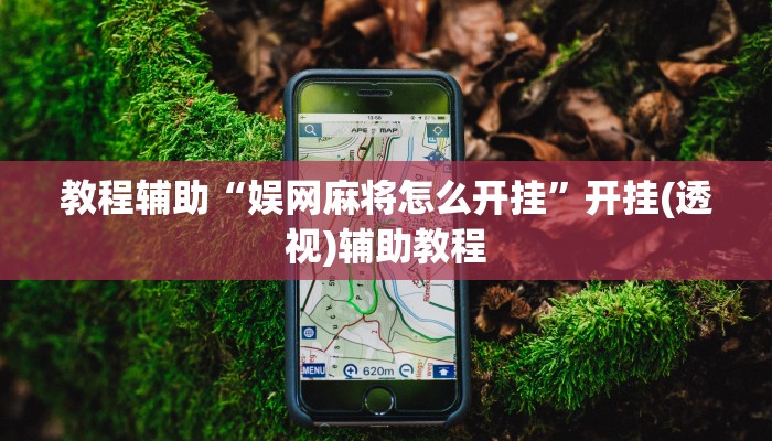 教程辅助“娱网麻将怎么开挂”开挂(透视)辅助教程