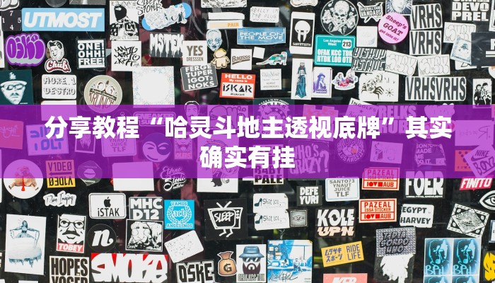 分享教程“哈灵斗地主透视底牌”其实确实有挂 分享教程“哈灵斗地主透视底牌”其实确实有挂