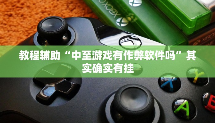 教程辅助“中至游戏有作弊软件吗”其实确实有挂