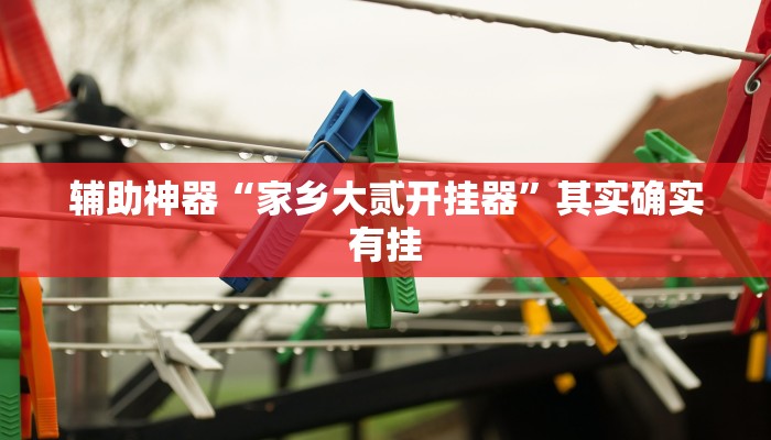 辅助神器“家乡大贰开挂器”其实确实有挂