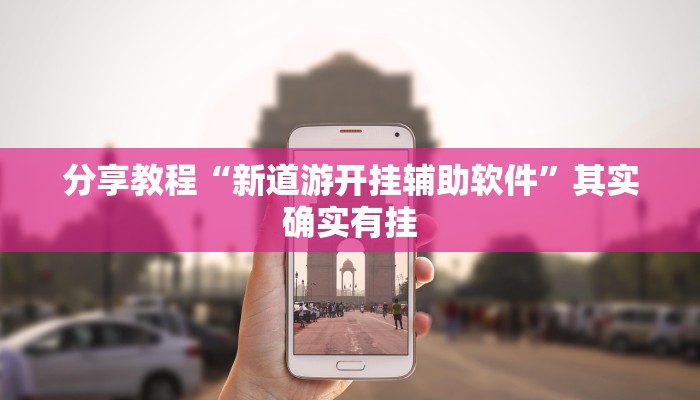 分享教程“新道游开挂辅助软件”其实确实有挂