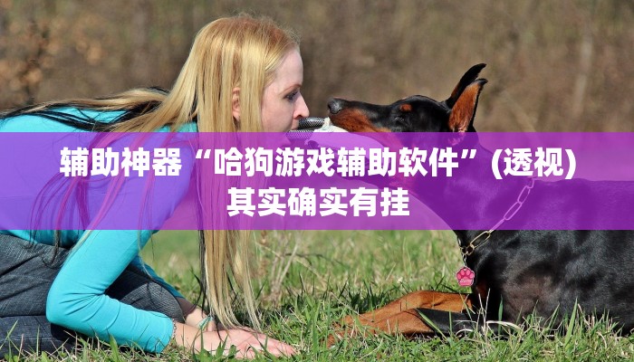 辅助神器“哈狗游戏辅助软件”(透视)其实确实有挂