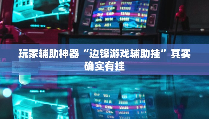 玩家辅助神器“边锋游戏辅助挂”其实确实有挂