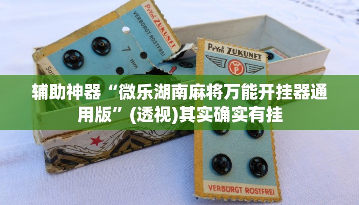 辅助神器“微乐湖南麻将万能开挂器通用版”(透视)其实确实有挂