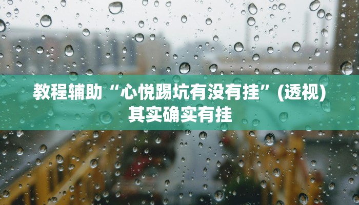教程辅助“心悦踢坑有没有挂”(透视)其实确实有挂