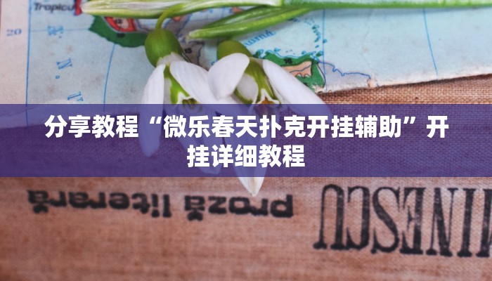 分享教程“微乐春天扑克开挂辅助”开挂详细教程