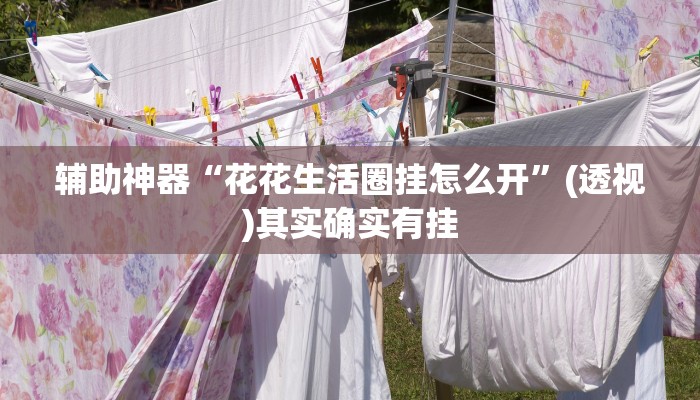 辅助神器“花花生活圈挂怎么开”(透视)其实确实有挂