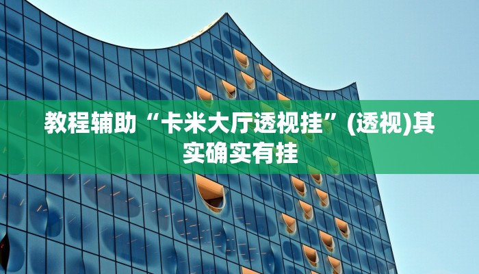 教程辅助“卡米大厅透视挂”(透视)其实确实有挂