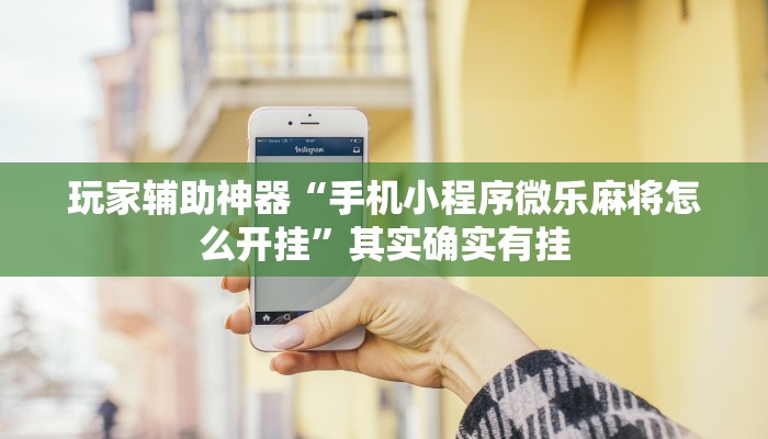 玩家辅助神器“手机小程序微乐麻将怎么开挂”其实确实有挂