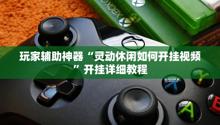 玩家辅助神器“灵动休闲如何开挂视频”开挂详细教程 玩家辅助神器“灵动休闲如何开挂视频”开挂详细教程