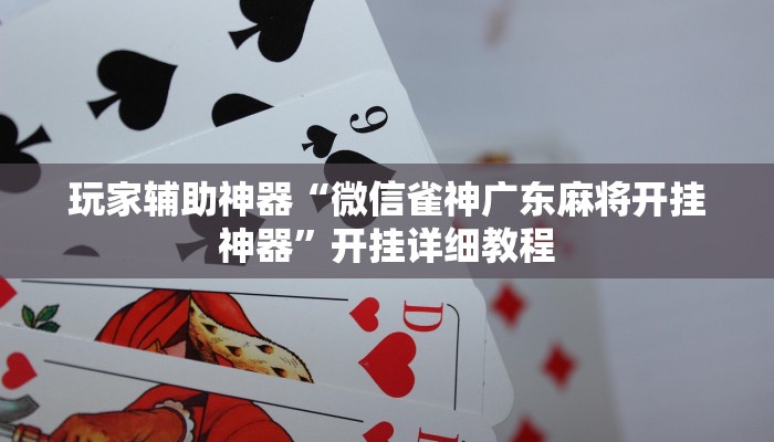 玩家辅助神器“微信雀神广东麻将开挂神器”开挂详细教程