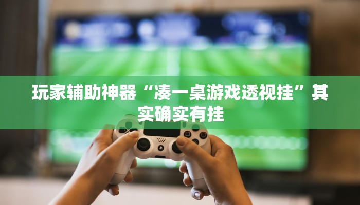 玩家辅助神器“凑一桌游戏透视挂”其实确实有挂