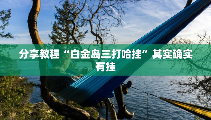 分享教程“白金岛三打哈挂”其实确实有挂 分享教程“白金岛三打哈挂”其实确实有挂
