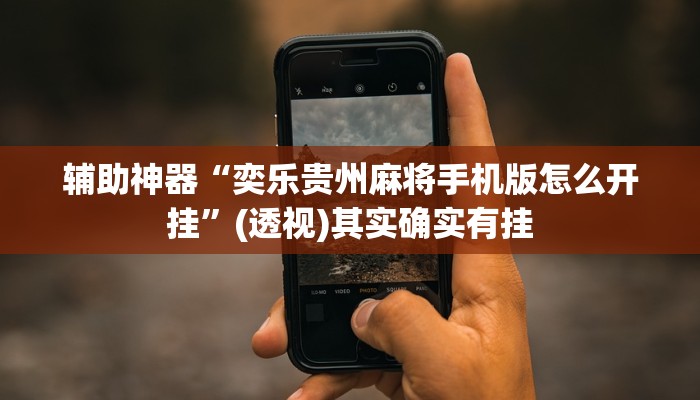 辅助神器“奕乐贵州麻将手机版怎么开挂”(透视)其实确实有挂