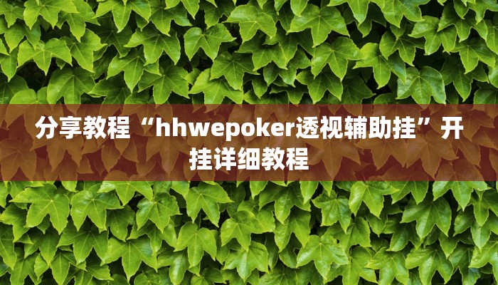 分享教程“hhwepoker透视辅助挂”开挂详细教程
