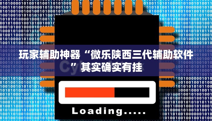 玩家辅助神器“微乐陕西三代辅助软件”其实确实有挂