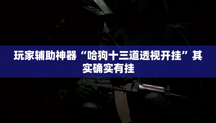 玩家辅助神器“哈狗十三道透视开挂”其实确实有挂