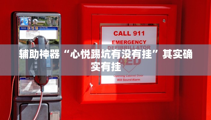 辅助神器“心悦踢坑有没有挂”其实确实有挂