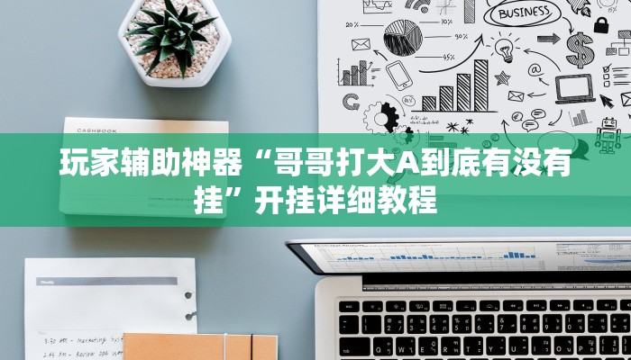 玩家辅助神器“哥哥打大A到底有没有挂”开挂详细教程