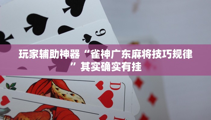 玩家辅助神器“雀神广东麻将技巧规律”其实确实有挂