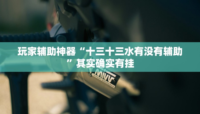 玩家辅助神器“十三十三水有没有辅助”其实确实有挂