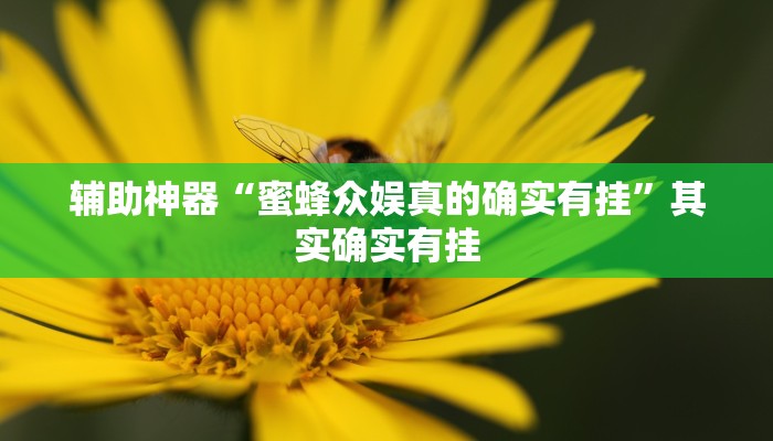 辅助神器“蜜蜂众娱真的确实有挂”其实确实有挂