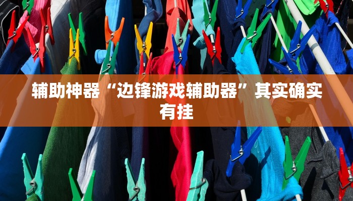 辅助神器“边锋游戏辅助器”其实确实有挂