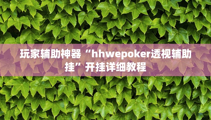 玩家辅助神器“hhwepoker透视辅助挂”开挂详细教程 玩家辅助神器“hhwepoker透视辅助挂”开挂详细教程