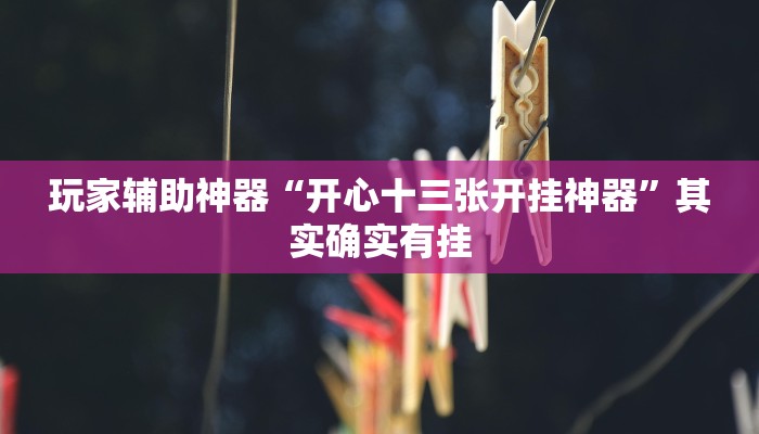 玩家辅助神器“开心十三张开挂神器”其实确实有挂 玩家辅助神器“开心十三张开挂神器”其实确实有挂