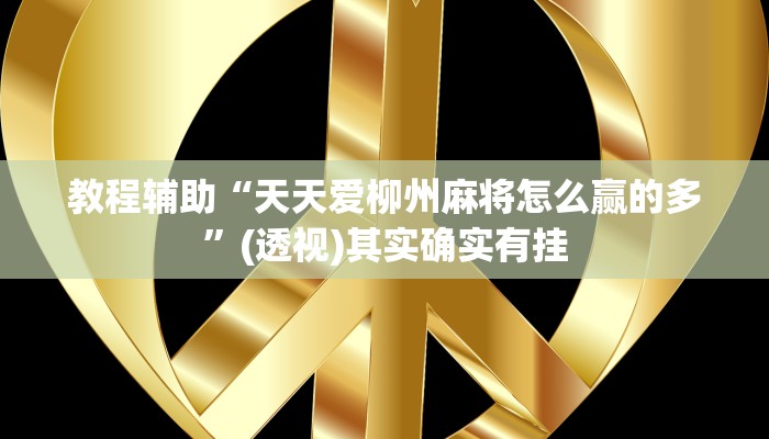 教程辅助“天天爱柳州麻将怎么赢的多”(透视)其实确实有挂