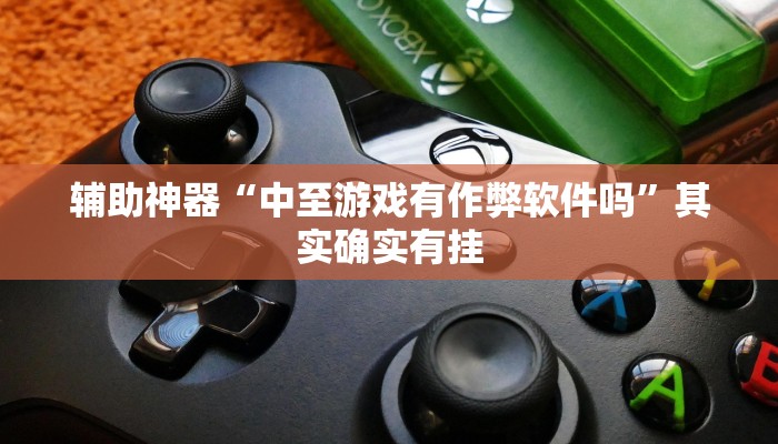 辅助神器“中至游戏有作弊软件吗”其实确实有挂