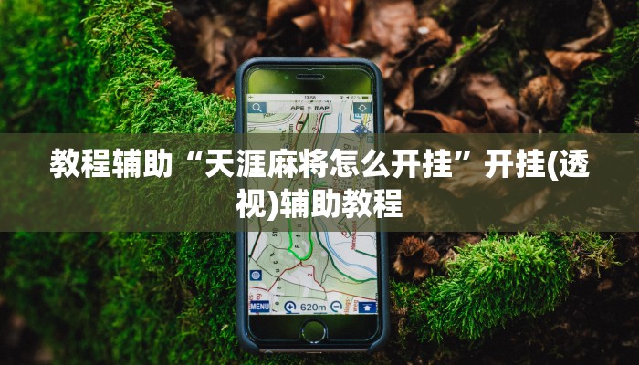 教程辅助“天涯麻将怎么开挂”开挂(透视)辅助教程