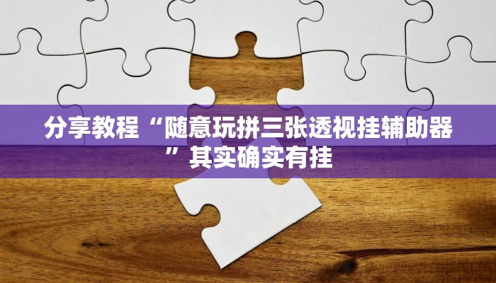 分享教程“随意玩拼三张透视挂辅助器”其实确实有挂