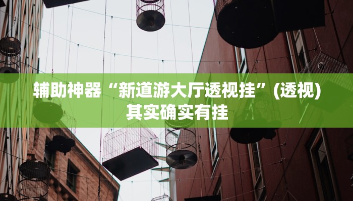 辅助神器“新道游大厅透视挂”(透视)其实确实有挂