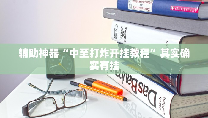 辅助神器“中至打炸开挂教程”其实确实有挂