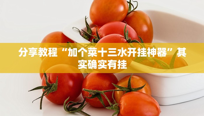 分享教程“加个菜十三水开挂神器”其实确实有挂