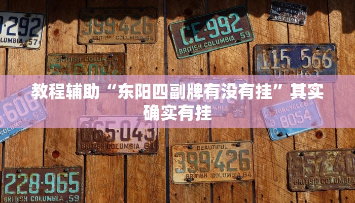 教程辅助“东阳四副牌有没有挂”其实确实有挂 教程辅助“东阳四副牌有没有挂”其实确实有挂
