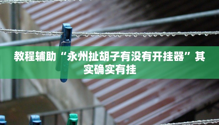 教程辅助“永州扯胡子有没有开挂器”其实确实有挂