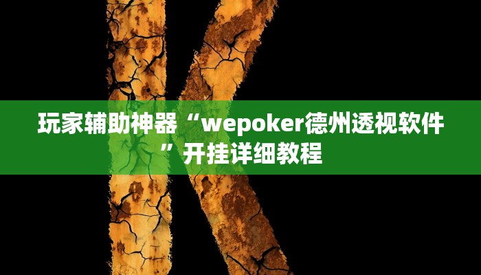 玩家辅助神器“wepoker德州透视软件”开挂详细教程