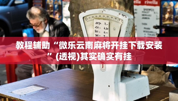 教程辅助“微乐云南麻将开挂下载安装”(透视)其实确实有挂