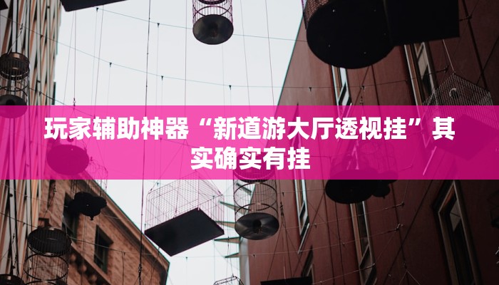 玩家辅助神器“新道游大厅透视挂”其实确实有挂