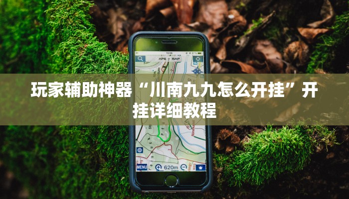 玩家辅助神器“川南九九怎么开挂”开挂详细教程