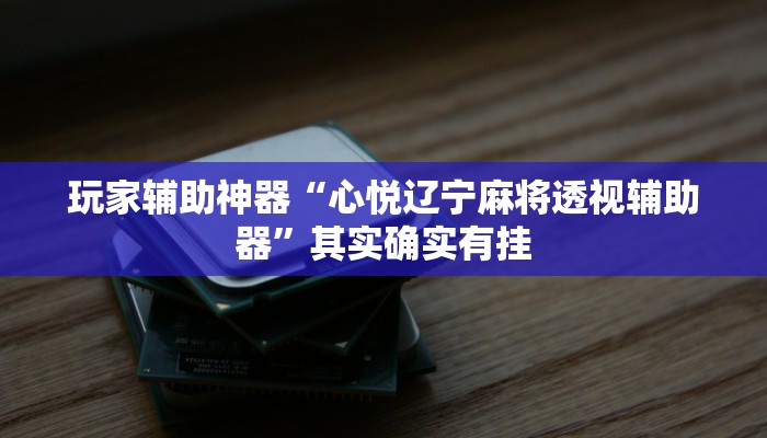 玩家辅助神器“心悦辽宁麻将透视辅助器”其实确实有挂 玩家辅助神器“心悦辽宁麻将透视辅助器”其实确实有挂